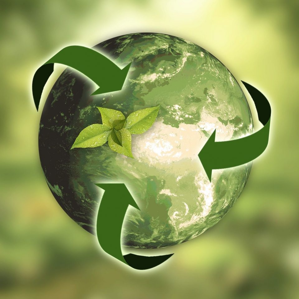 Umweltschutz, Nachhaltigkeit